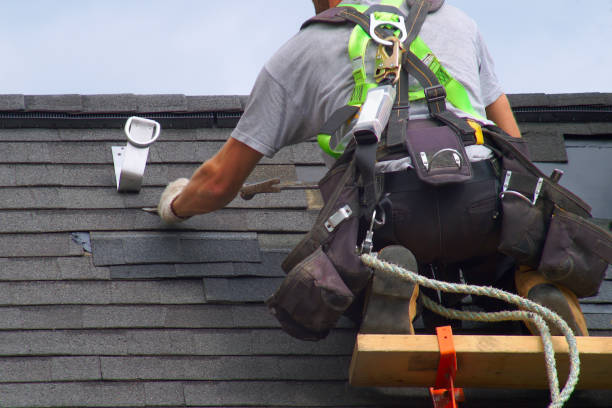 Best Storm Damage Siding Repair  in Scottsboro, AL