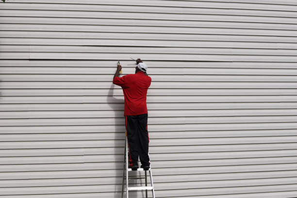 Best Stone Veneer Siding  in Scottsboro, AL