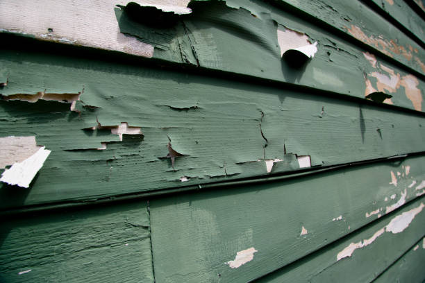 Best Fascia and Soffit Installation  in Scottsboro, AL