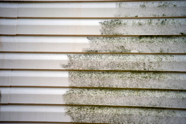 Best Siding for New Construction  in Scottsboro, AL