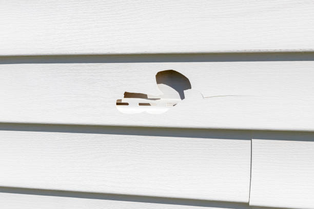 Best Siding Maintenance  in Scottsboro, AL