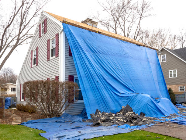 Best Brick Veneer Siding  in Scottsboro, AL