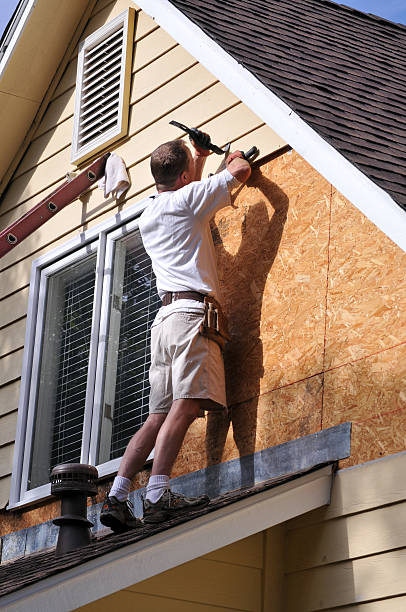 Best Custom Siding Design  in Scottsboro, AL